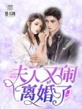 夫人又闹离婚了